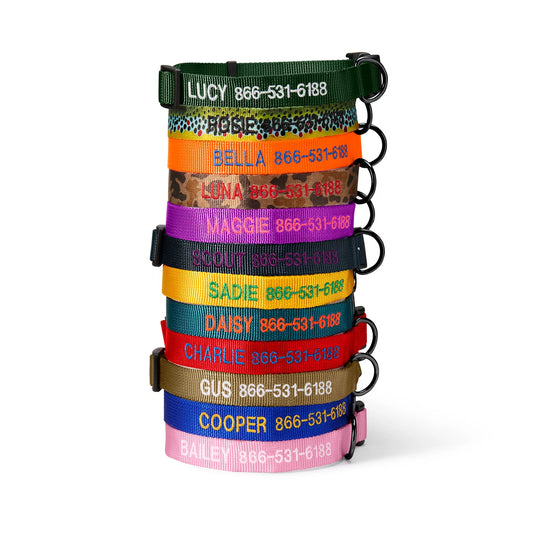 Personalized Side-Release Buckle Collar - Orvis Everyday