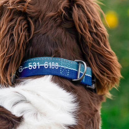 Tough Trail® Collar 2.0 - Orvis Discount