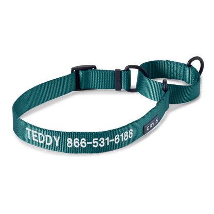 Orvis Personalized Martingale Dog Collar - Orvis Top Pick