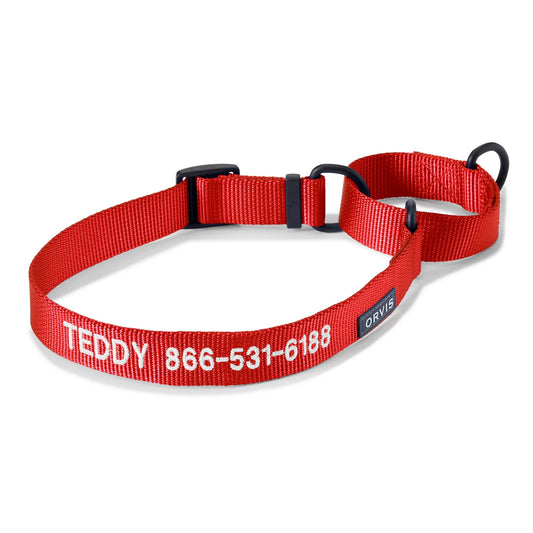 Orvis Martingale Collar & Leash Bundle - Orvis Trending