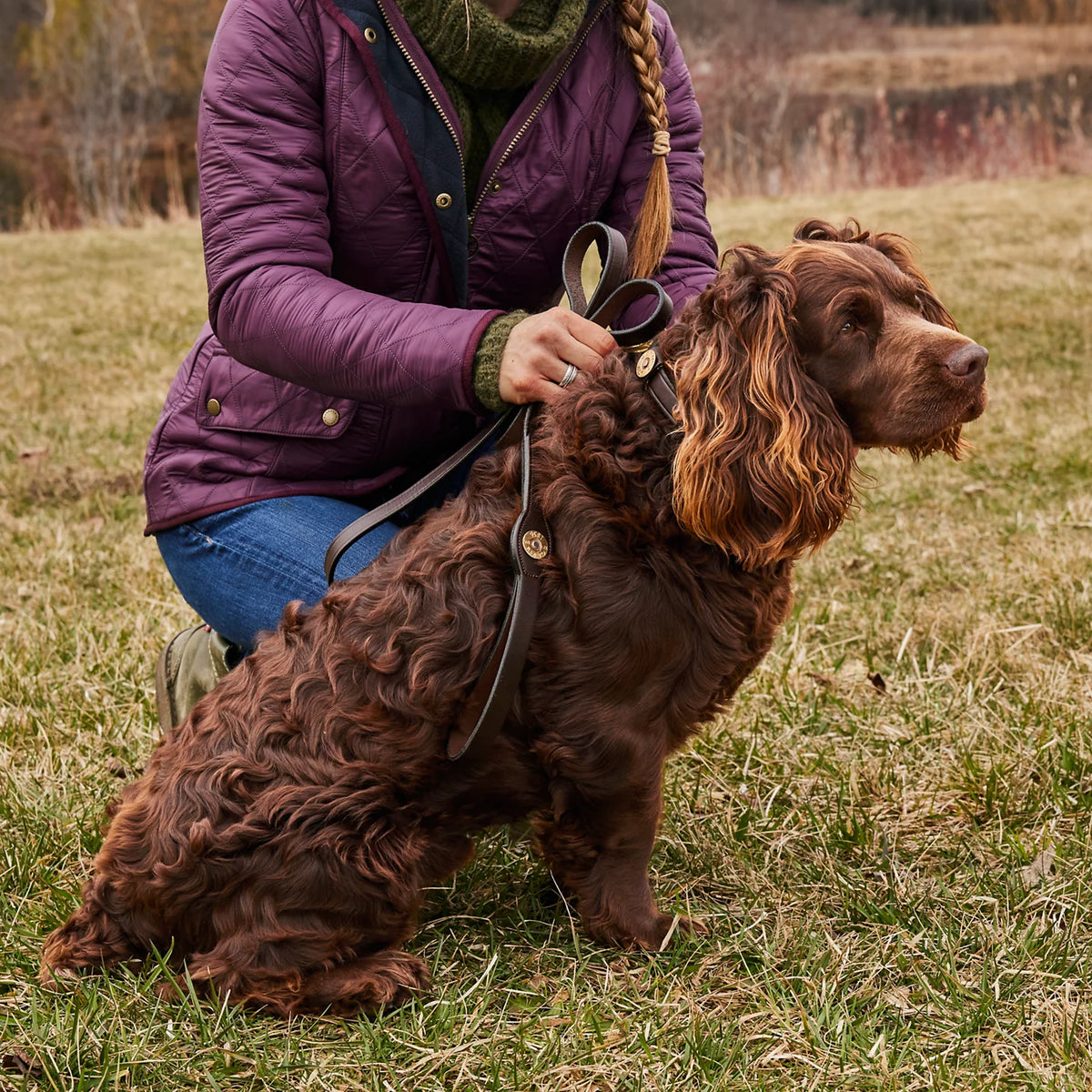 Shotshell Dog Collar - Orvis Best Price