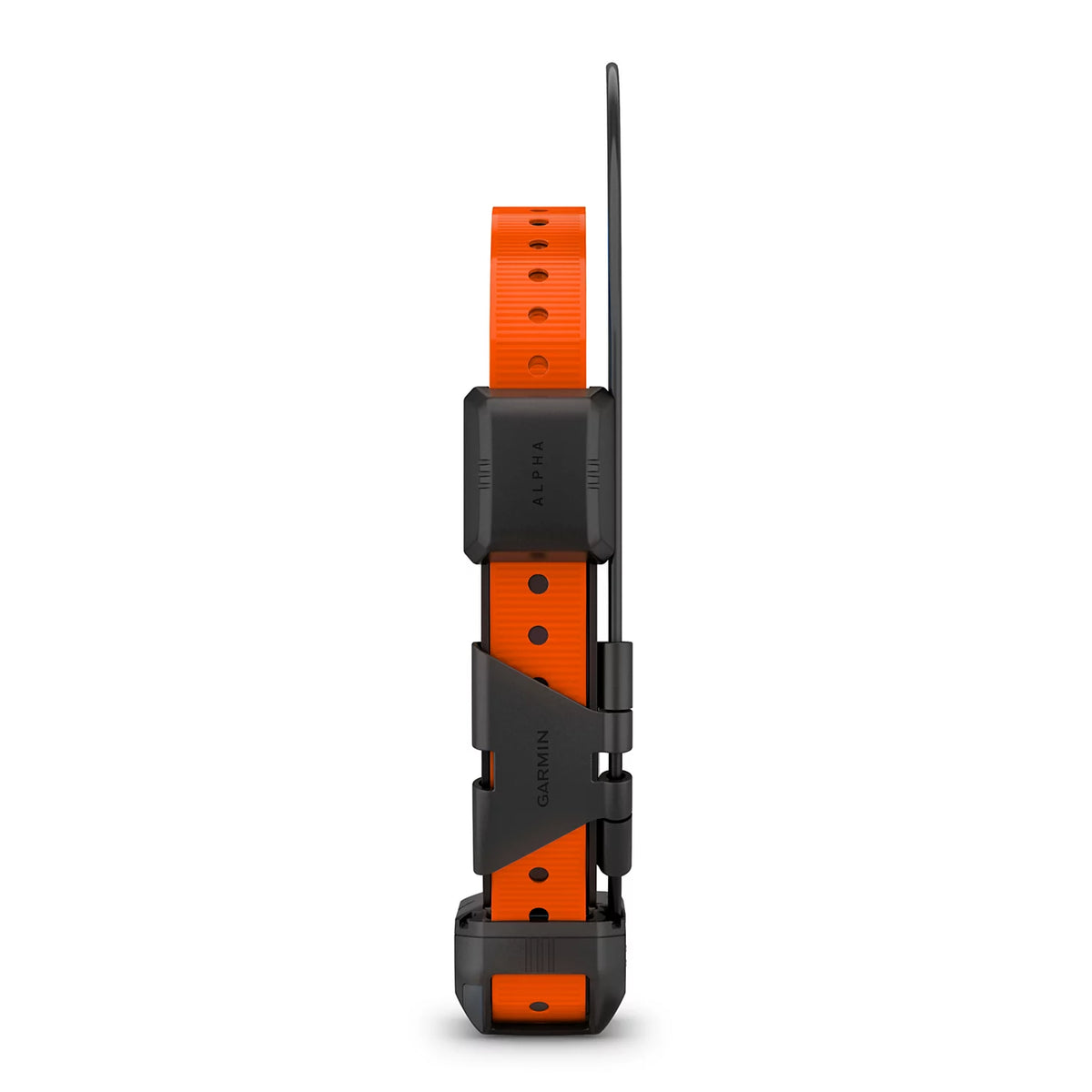 Garmin® Alpha® TT 25 GPS Dog Collar - Orvis Recommended