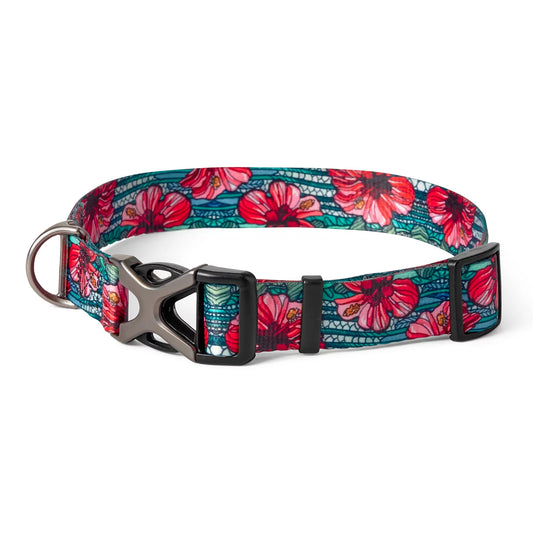 Orvis x Fishe® Wear Collar - Orvis Top Pick