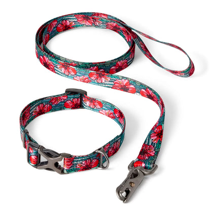 Orvis x Fishe® Wear Collar - Orvis Top Pick