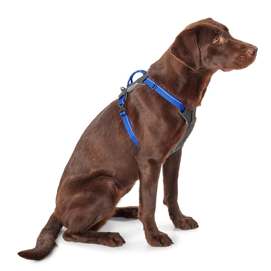 Tough Trail® Four-Point Dog Harness - Orvis Premium