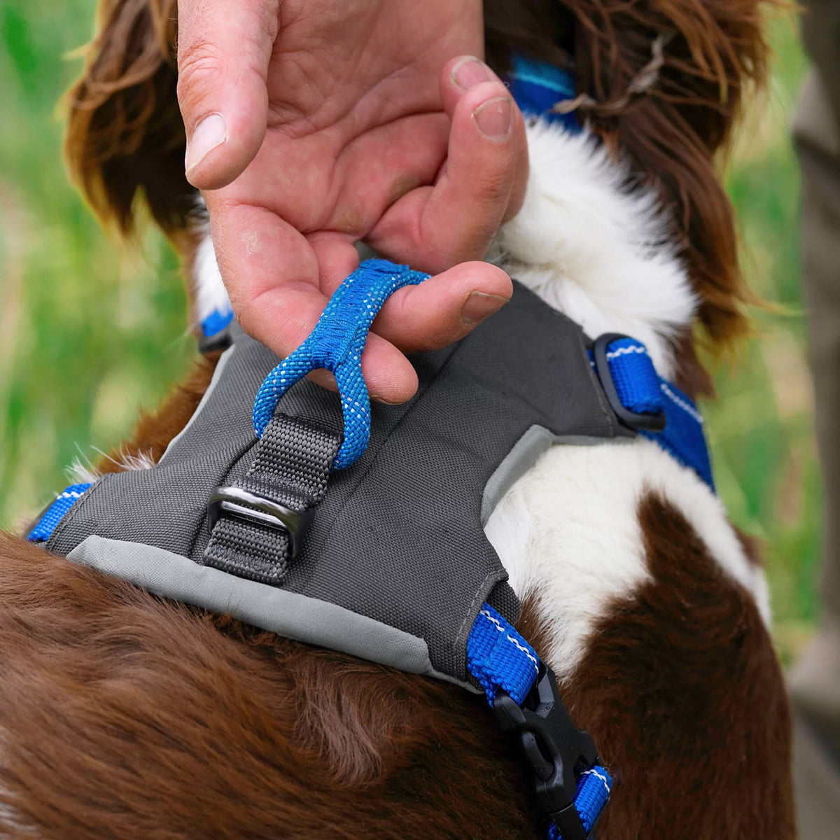 Tough Trail® Four-Point Dog Harness - Orvis Premium