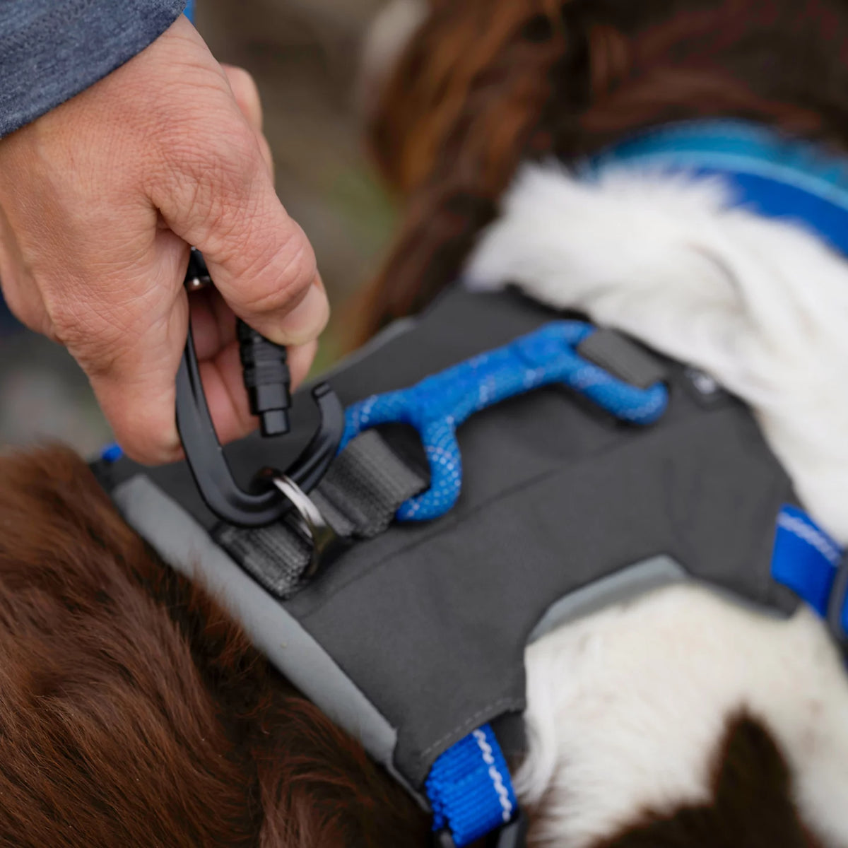 Tough Trail® Four-Point Dog Harness - Orvis Premium