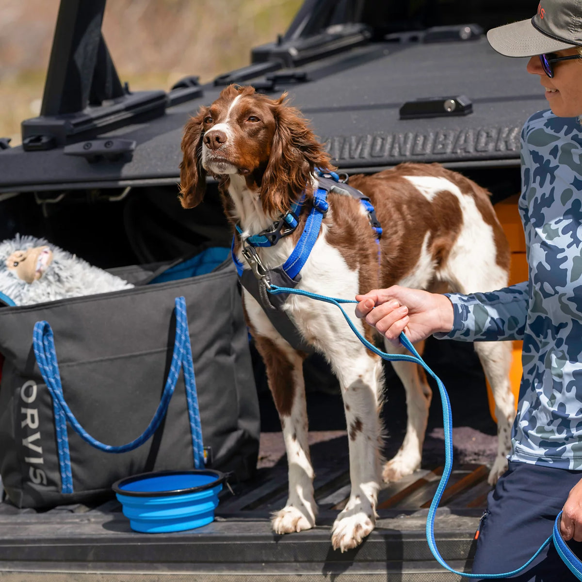 Tough Trail® Four-Point Dog Harness - Orvis Premium