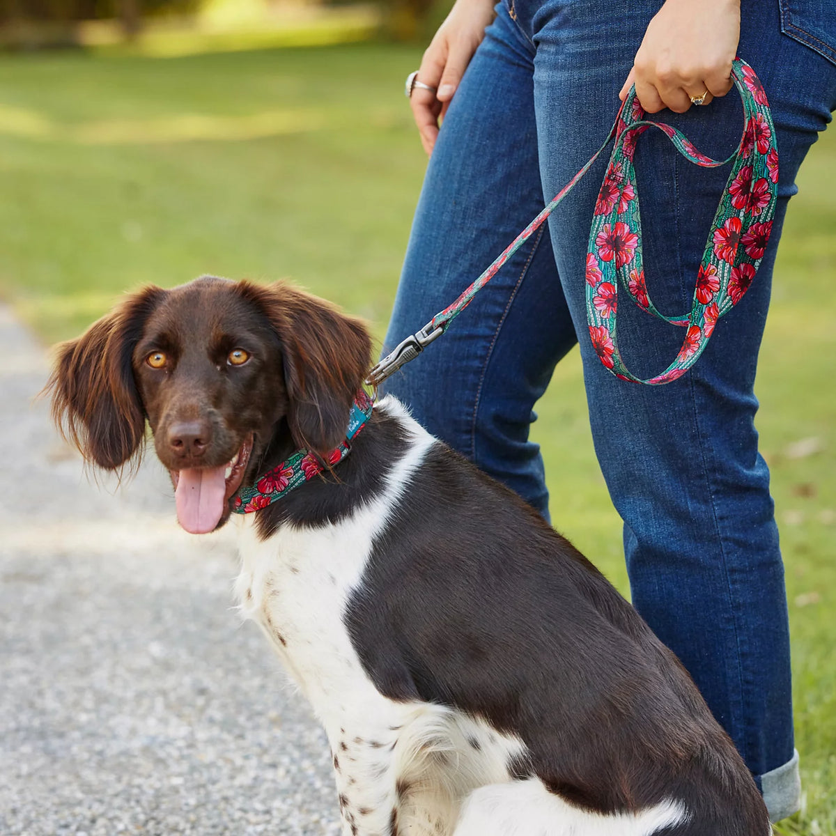 Orvis x Fishe® Wear Dog Leash - Orvis Popular