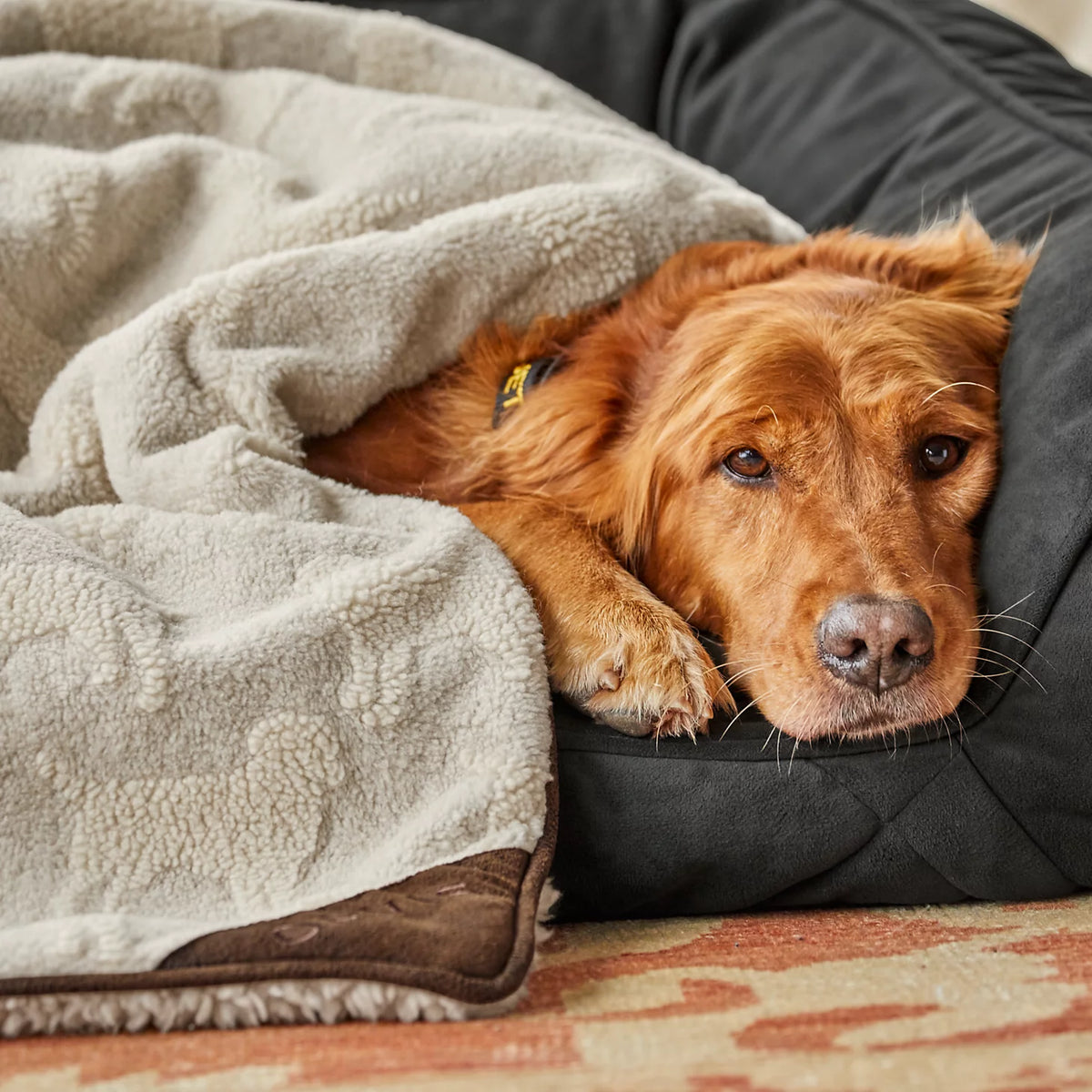 Embossed Sherpa Throw - Orvis Signature