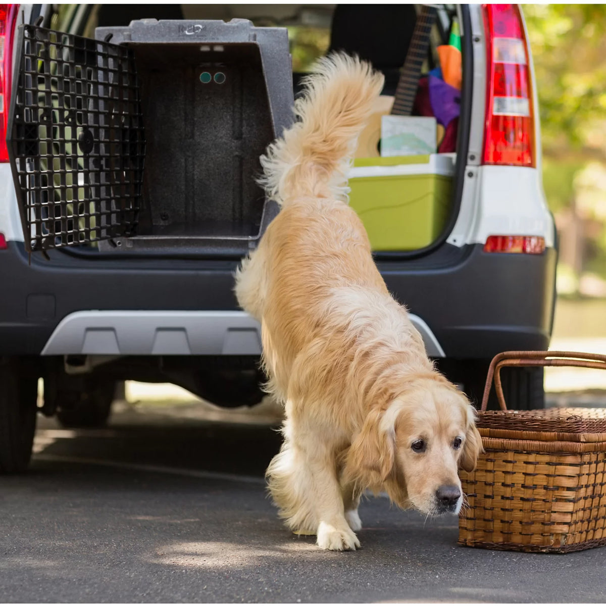 Ruff Land™ Performance Dog Kennel - Orvis Value