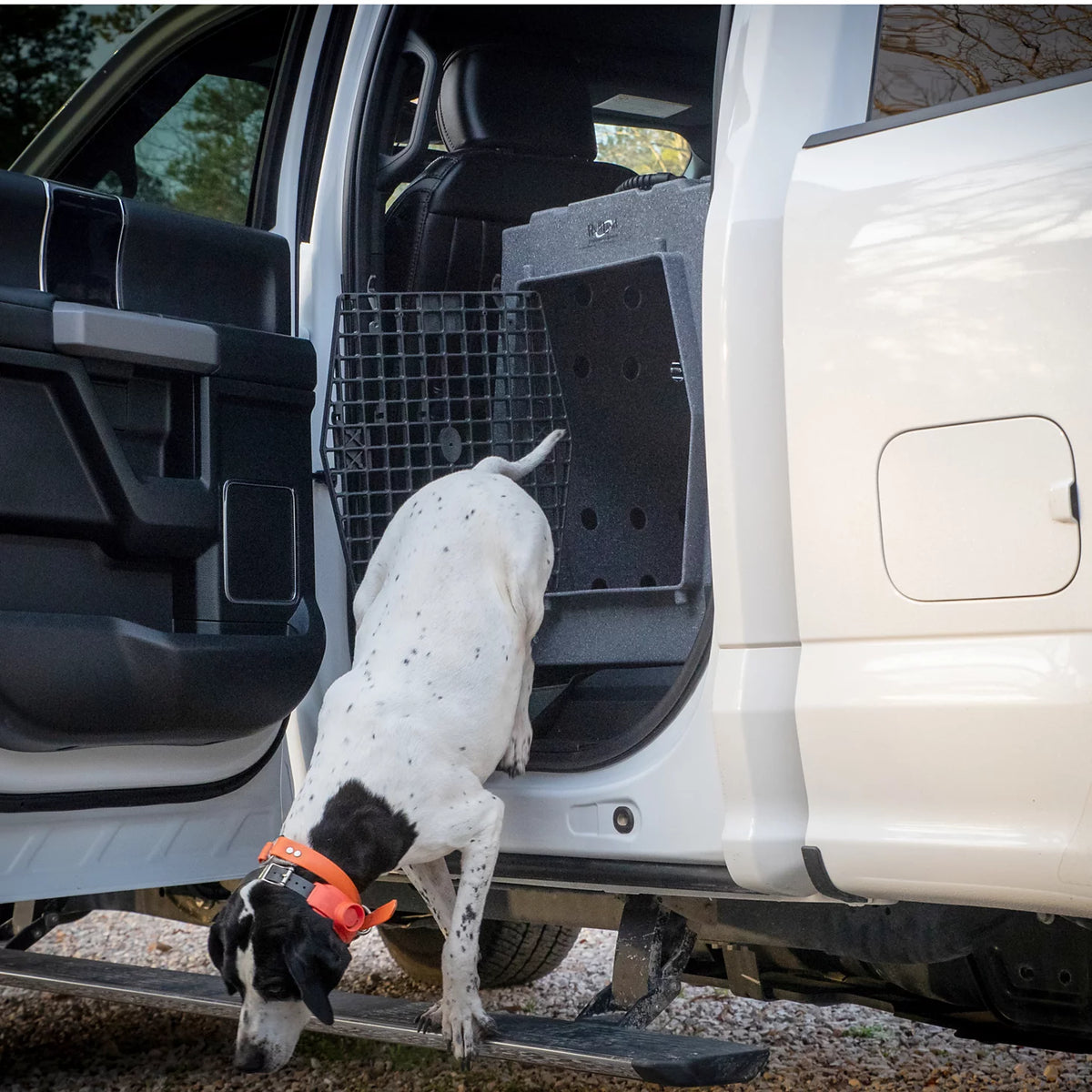 Ruff Land™ Performance Dog Kennel - Orvis Value