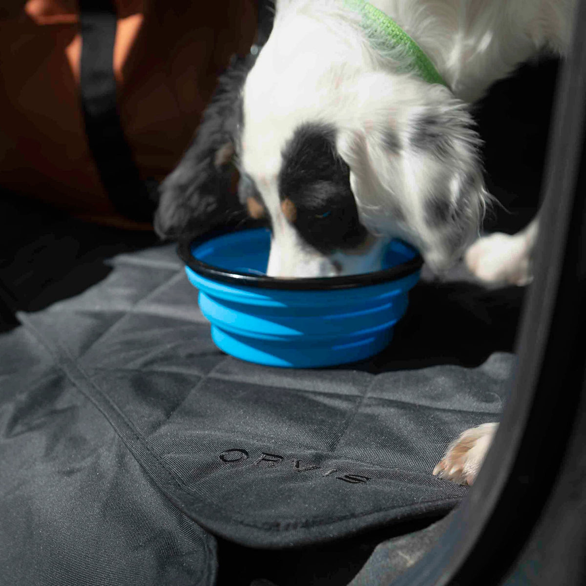 Tough Trail® Collapsible Dog Bowl - Orvis Trusted