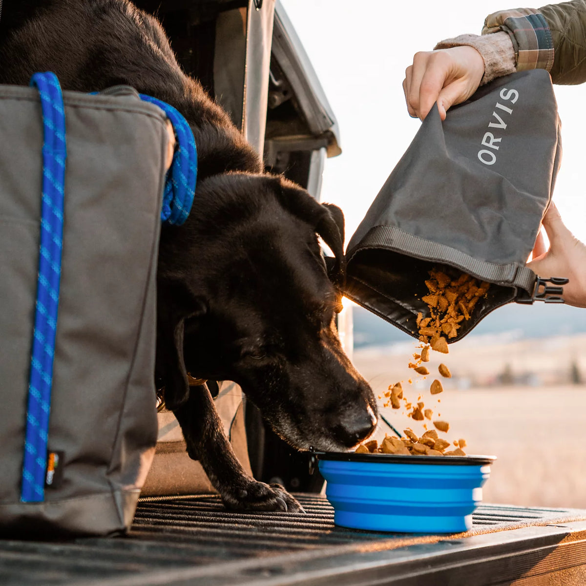 Tough Trail® Dog Travel Tote Kit - Orvis Signature