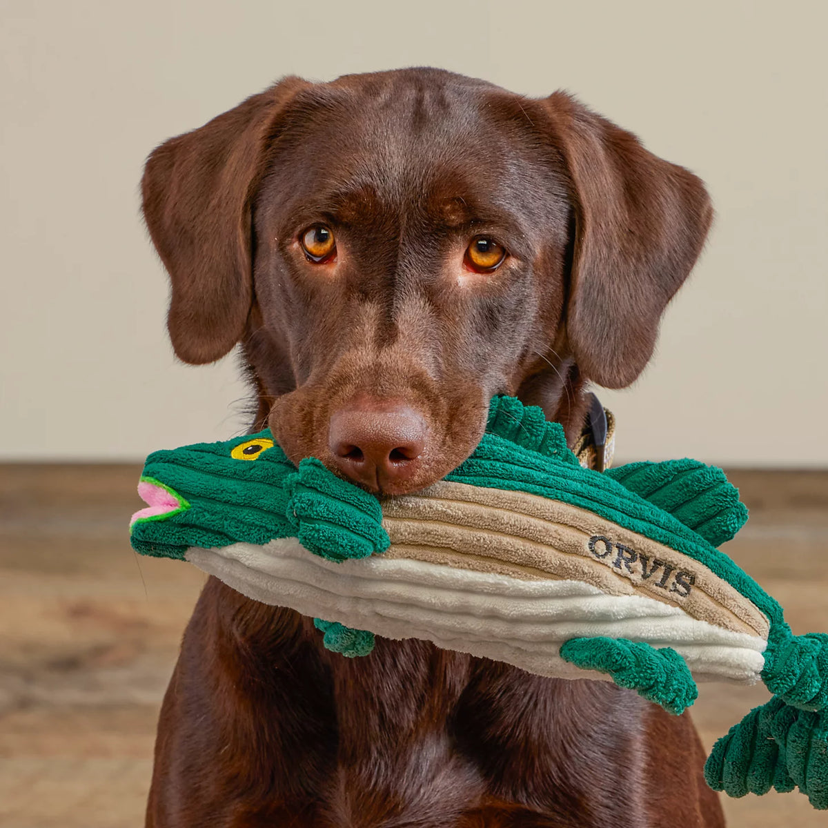 Animal Squeaky Toys - Orvis Great Value
