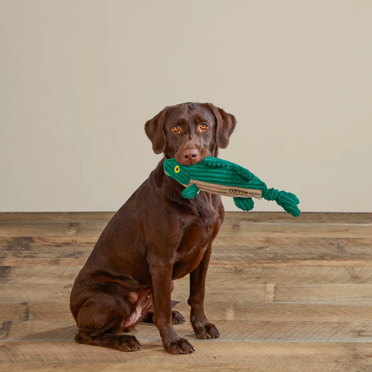 Animal Squeaky Toys - Orvis Great Value
