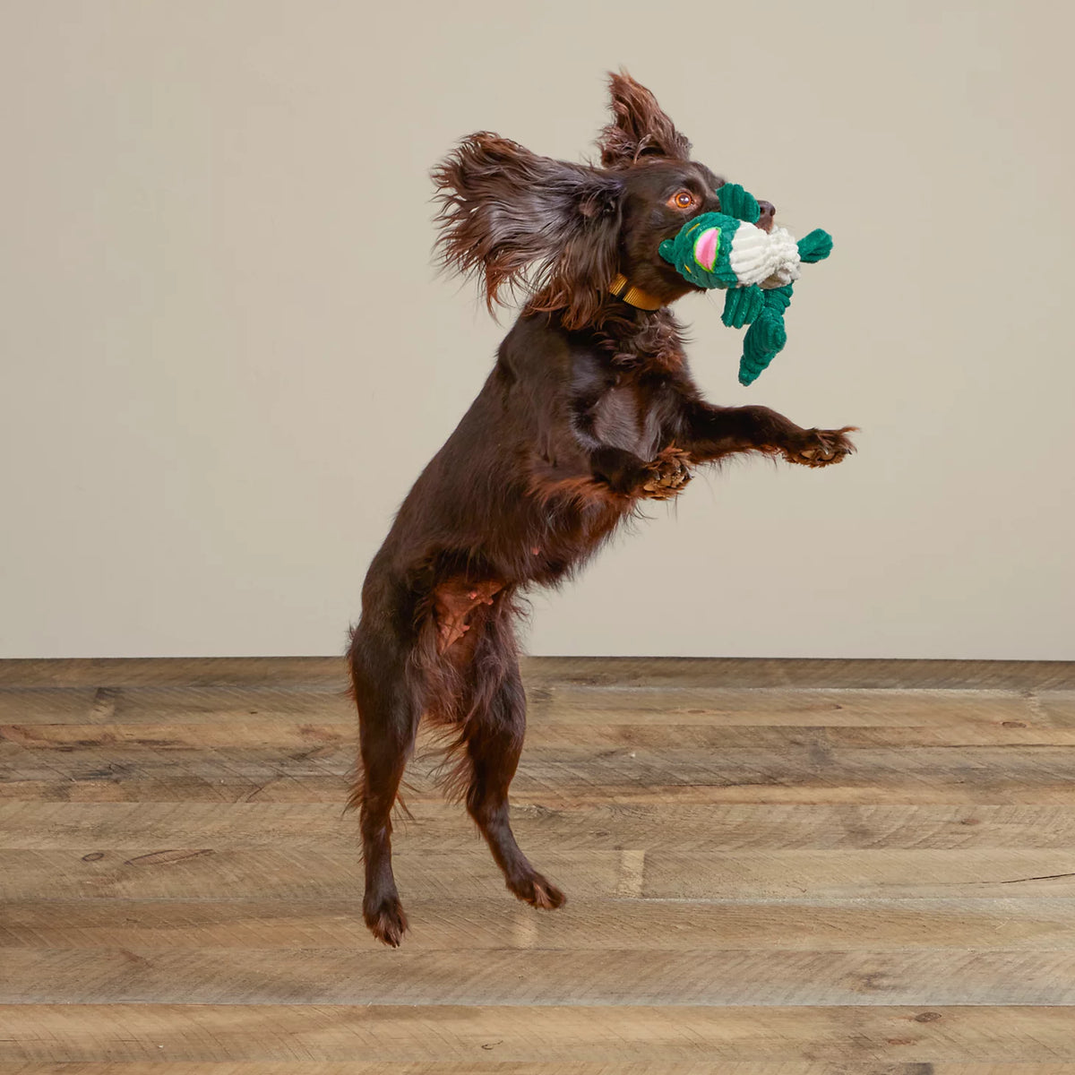 Animal Squeaky Toys - Orvis Great Value