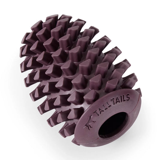 Pinecone Reward Dog Toy - Orvis Featured