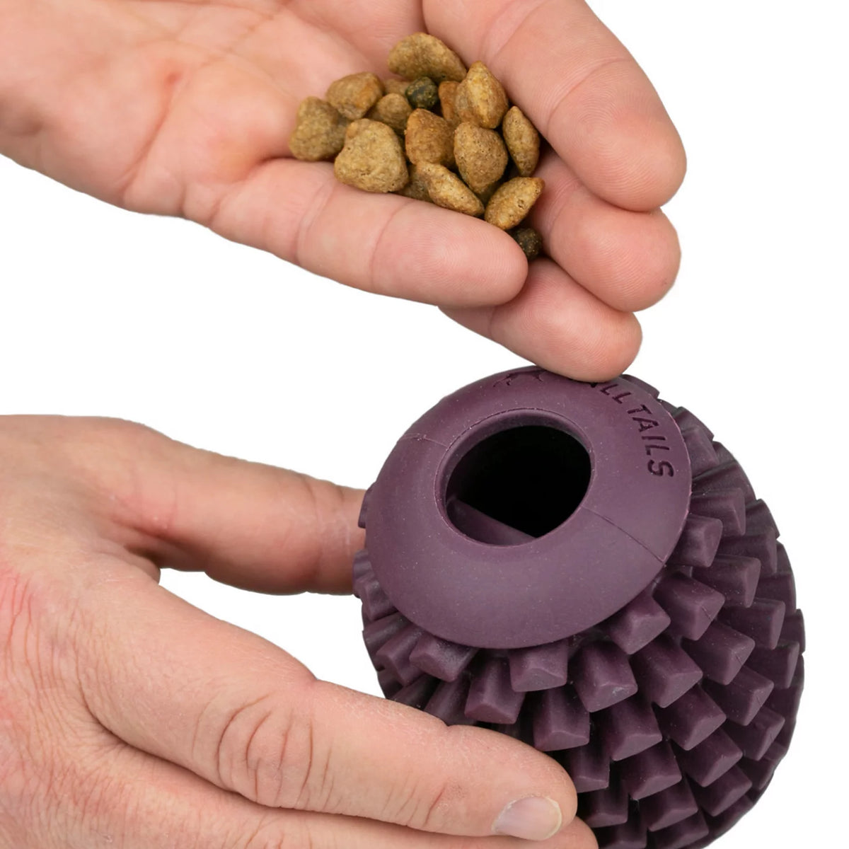 Pinecone Reward Dog Toy - Orvis Featured