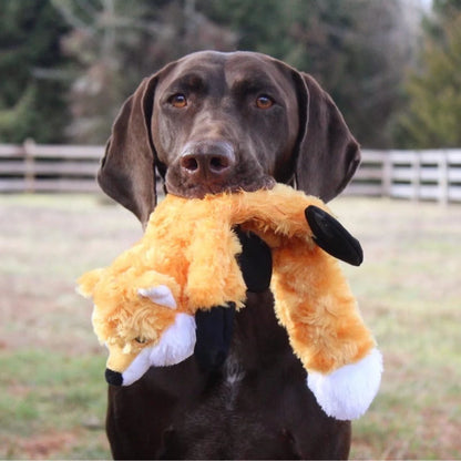 Stuffless Fox Dog Toy - Orvis Value