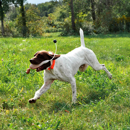 Game-Bird Training Dummy - Orvis Value