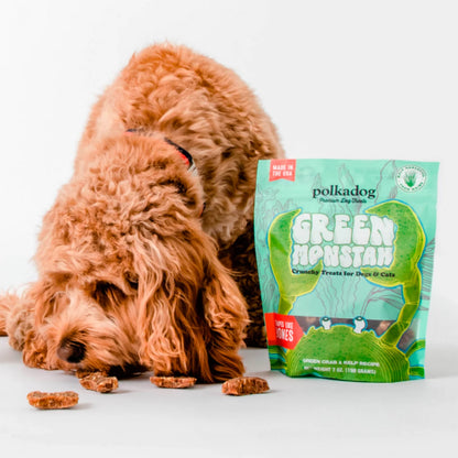 Polkadog Green Monstah Bones - Orvis Value