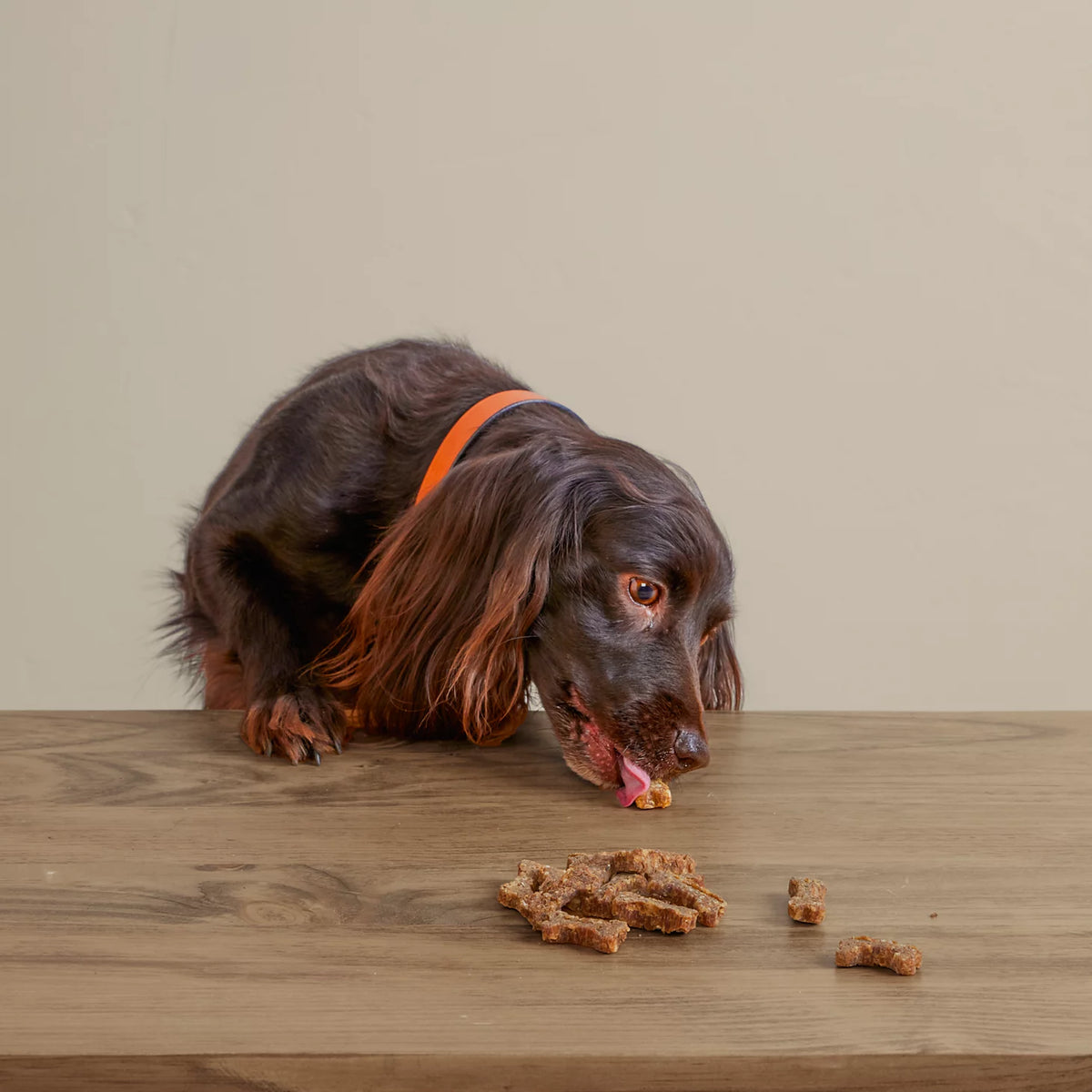 Polkadog Green Monstah Bones - Orvis Value