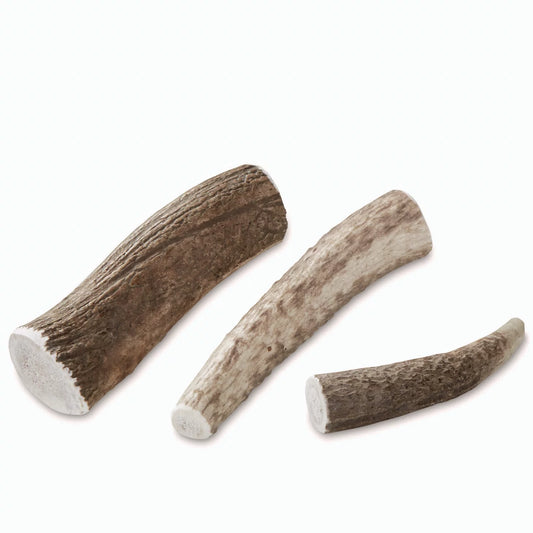 Elk Antler Chews - Orvis Customer Favorite