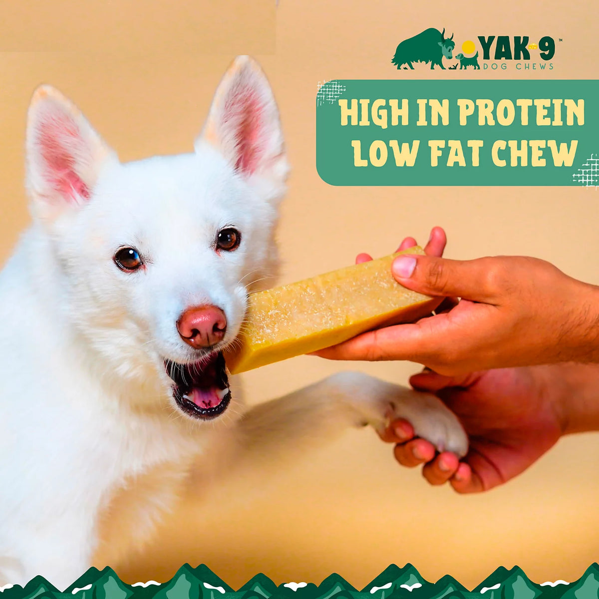 Yak-9 Dog Chew - Single - Orvis Signature
