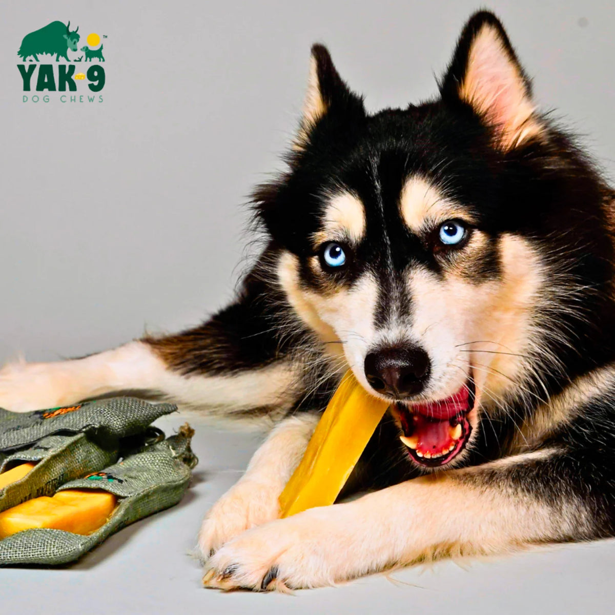 Yak-9 Dog Chew - Single - Orvis Signature