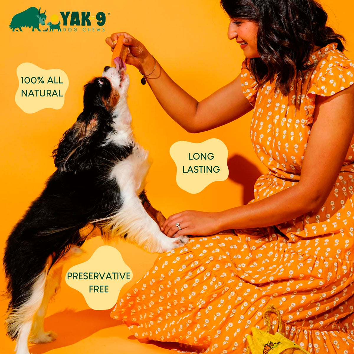 Yak-9 Dog Chew - Single - Orvis Signature