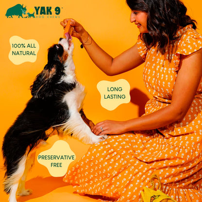 Yak-9 Dog Chew - Single - Orvis Signature