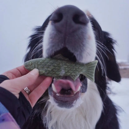 Breedwise Trophy™ Dog Dental Chews - Orvis Trusted