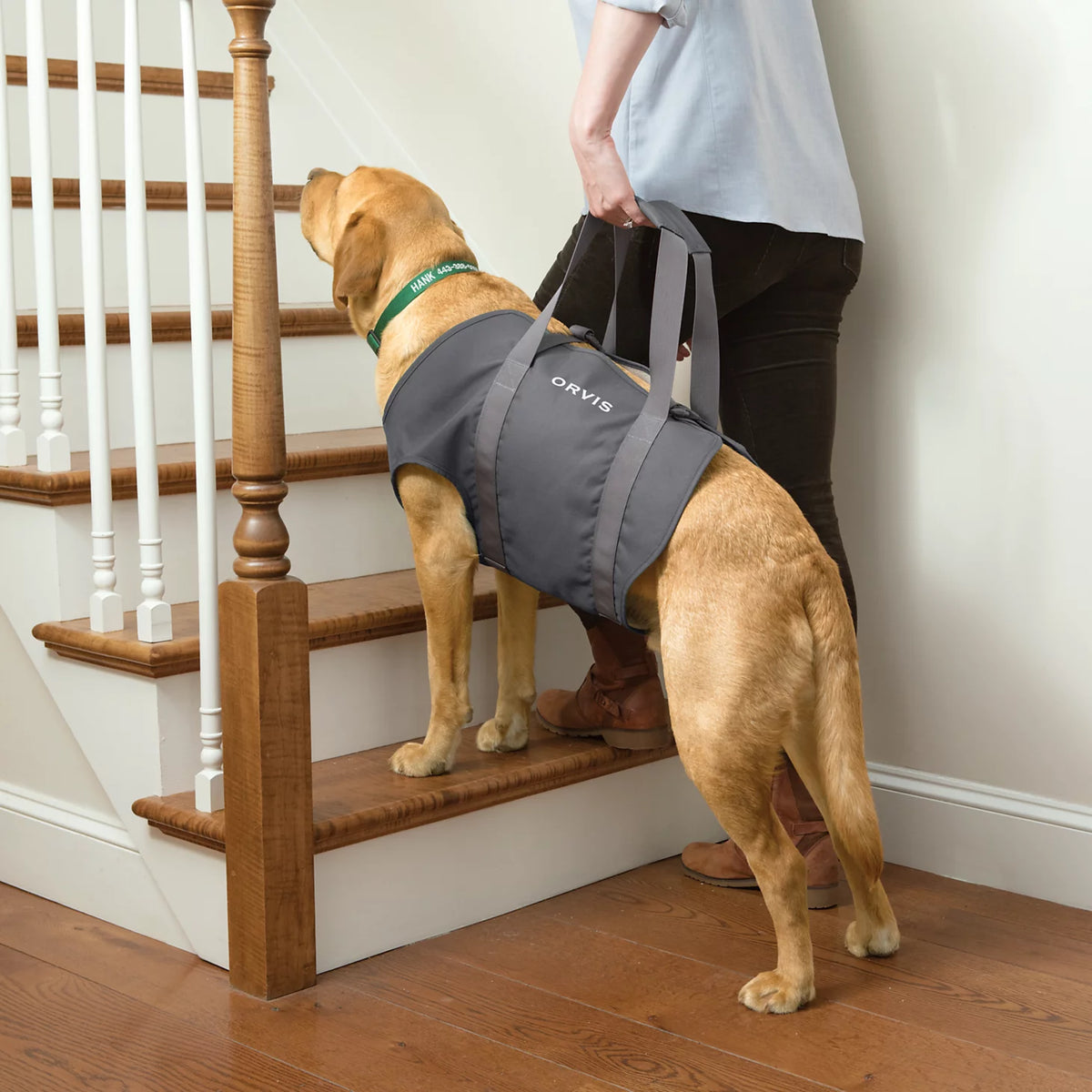 Dog Lift - Orvis Recommended