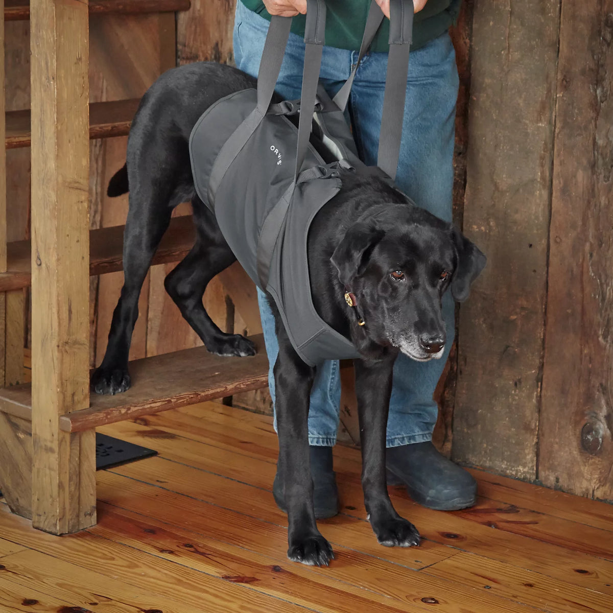 Dog Lift - Orvis Recommended