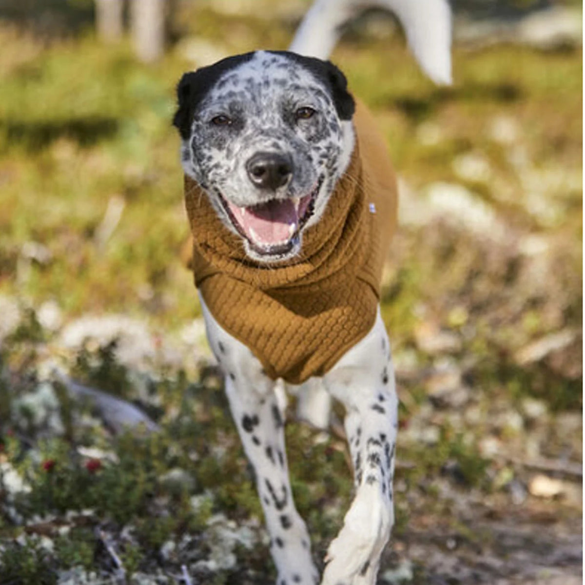 Hurtta Warming Midlayer Eco Dog Jacket - Orvis Quality
