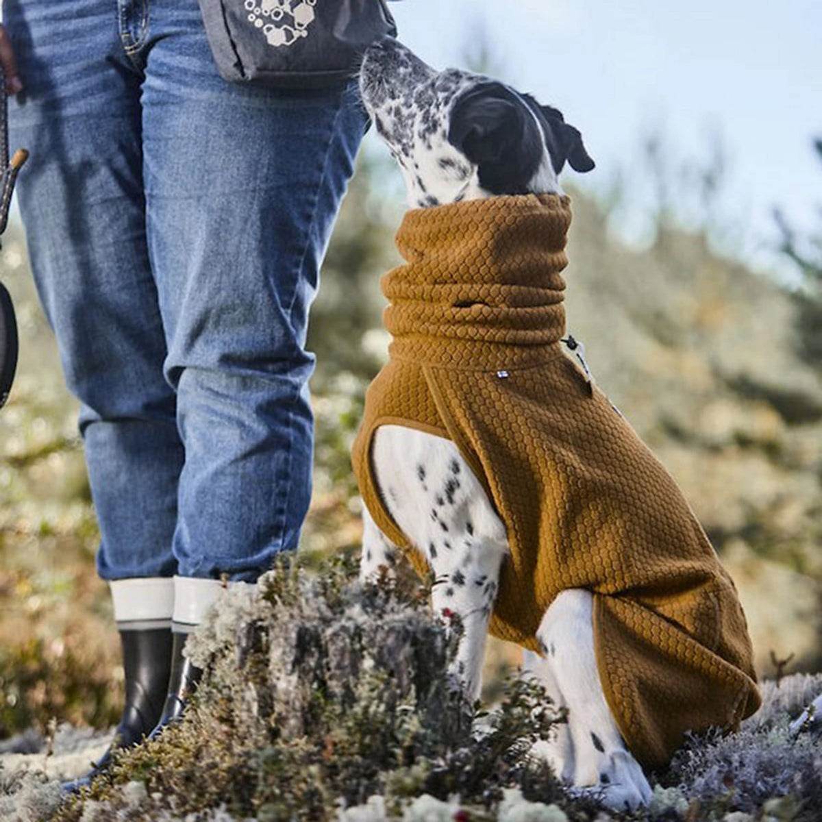 Hurtta Warming Midlayer Eco Dog Jacket - Orvis Quality