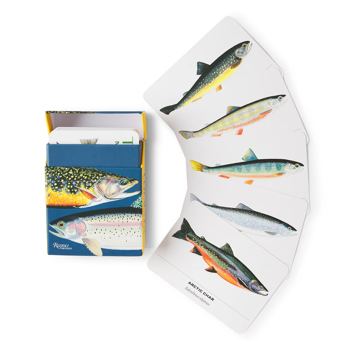 Trout of North America Cards - Orvis Popular